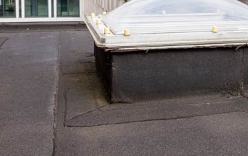 disadvantages of Siadar Uarach flat roofs