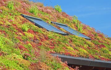 Siadar Uarach living roof systems